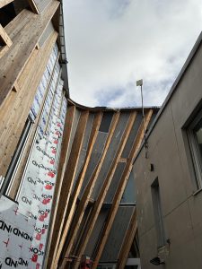 AnyConv.com__IMG_5069