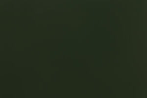 Chrome Green - RAL 6020 - 1861 - HDPE 2L