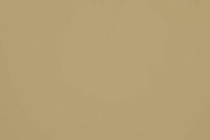 Green-Beige-Bej-RAL-1000-1480-PVDF-2L-scaled