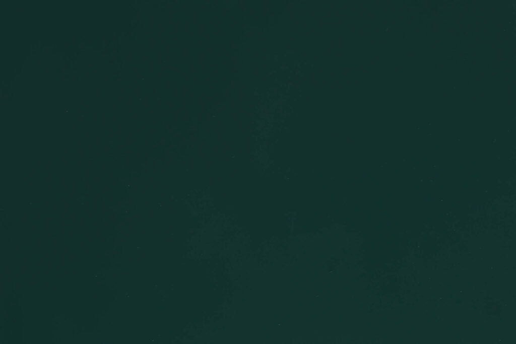 Moss Green - Yosun Yeşili - RAL 6005 - 579 - HDPE 2L