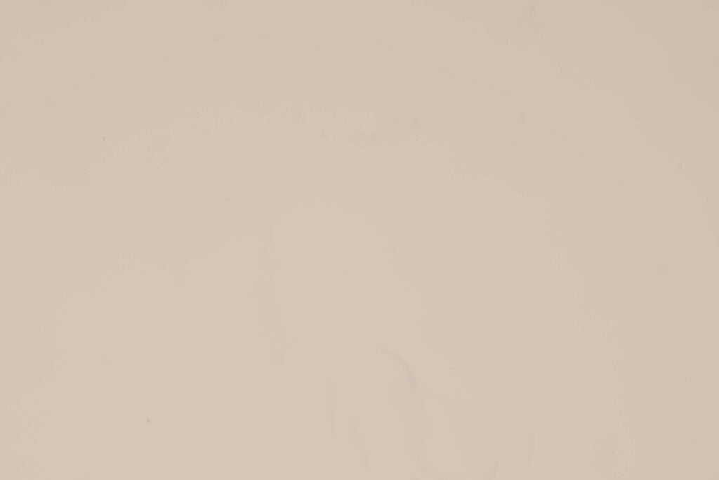 Oyster-White-İnci-Beyazi-RAL-1013-1697-PVDF-2L