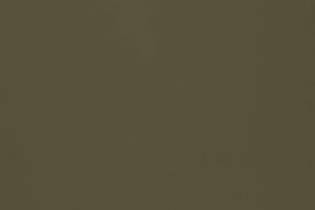 Reed-Green-Soluk-Yeşil-RAL-6013-1468-PVDF-2L