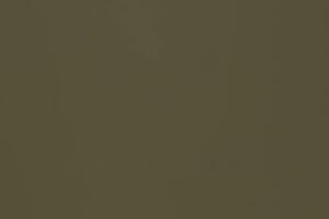 Reed-Green-Soluk-Yeşil-RAL-6013-1468-PVDF-2L