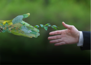 ecology